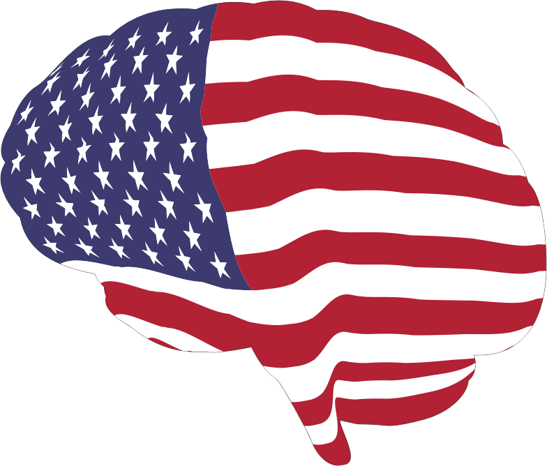 Regulations, Protections, and The American Brain